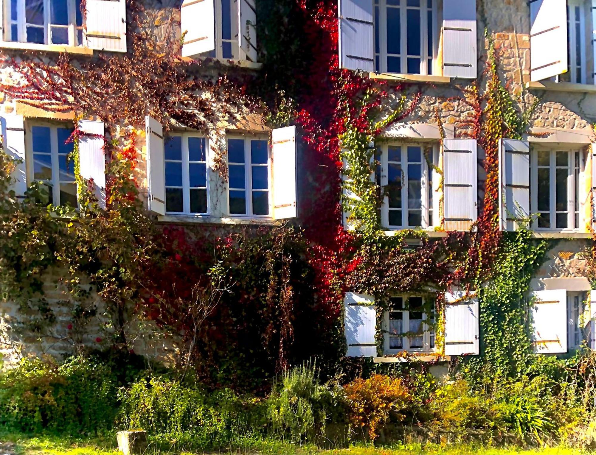 Le Chambon, Chambres D'Hotes Saint-Merd-de-Lapleau Exterior photo